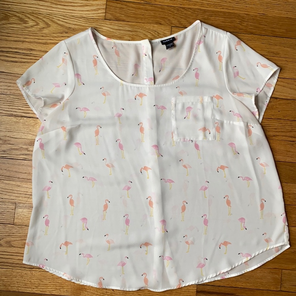 Torrid sheer tee blouse, button down back detail